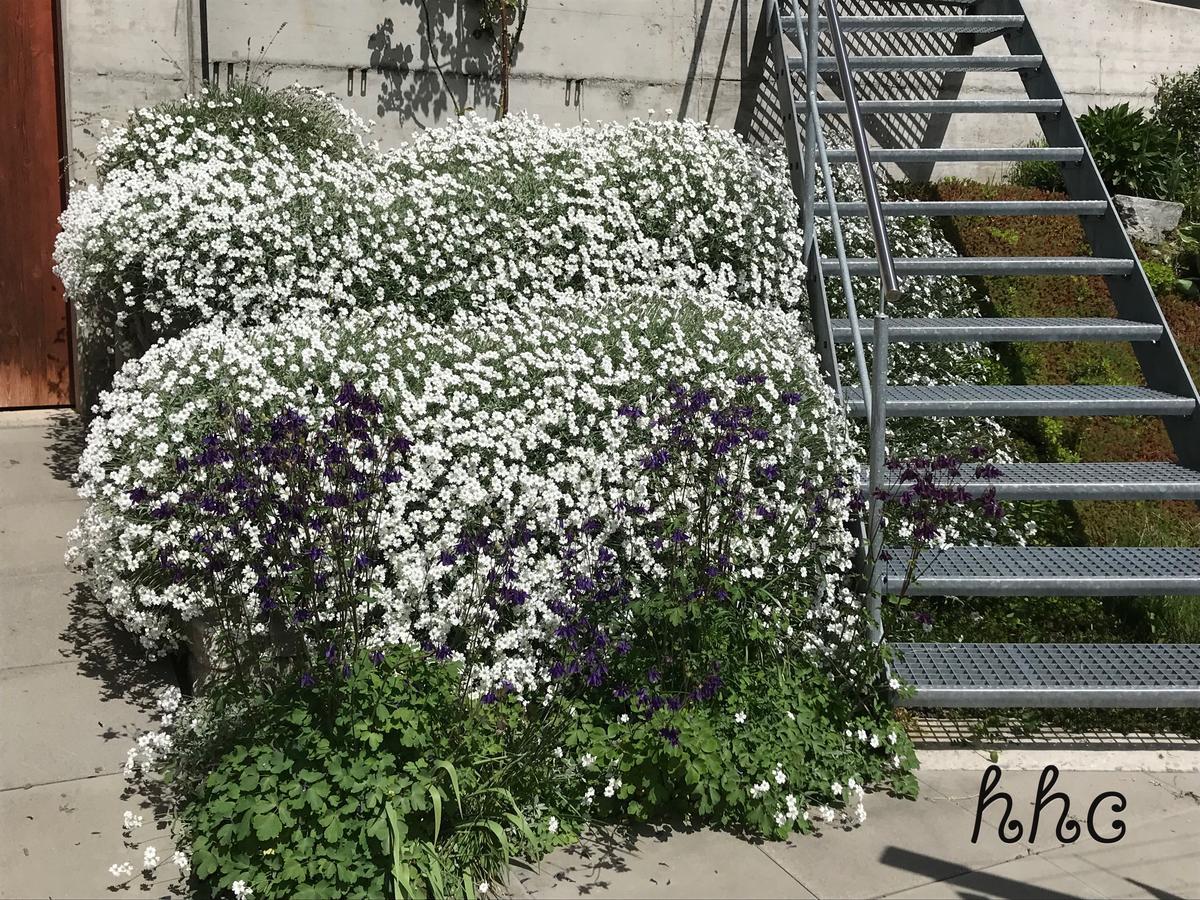 Ferienwohnung Aquileia ชกูอล ภายนอก รูปภาพ